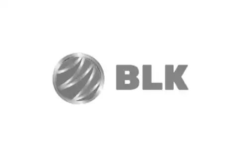 logo-blinki 1