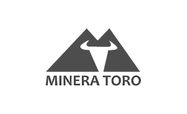 Minera Toro