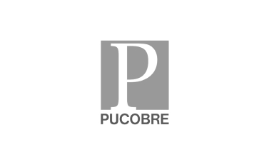 PUCOBRE 1