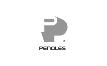 penoles-249x300 1
