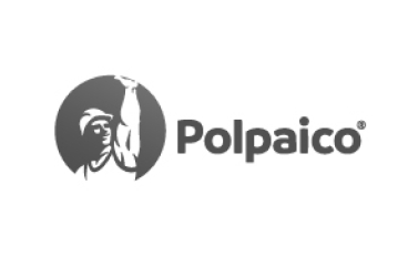 polpaico 1